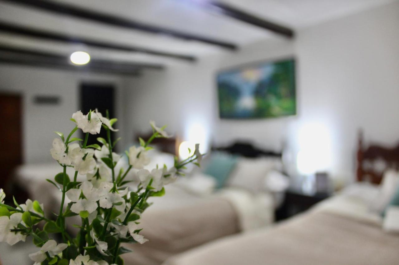 Casa De Hospedaje Vivaio ไพพ่า ภายนอก รูปภาพ